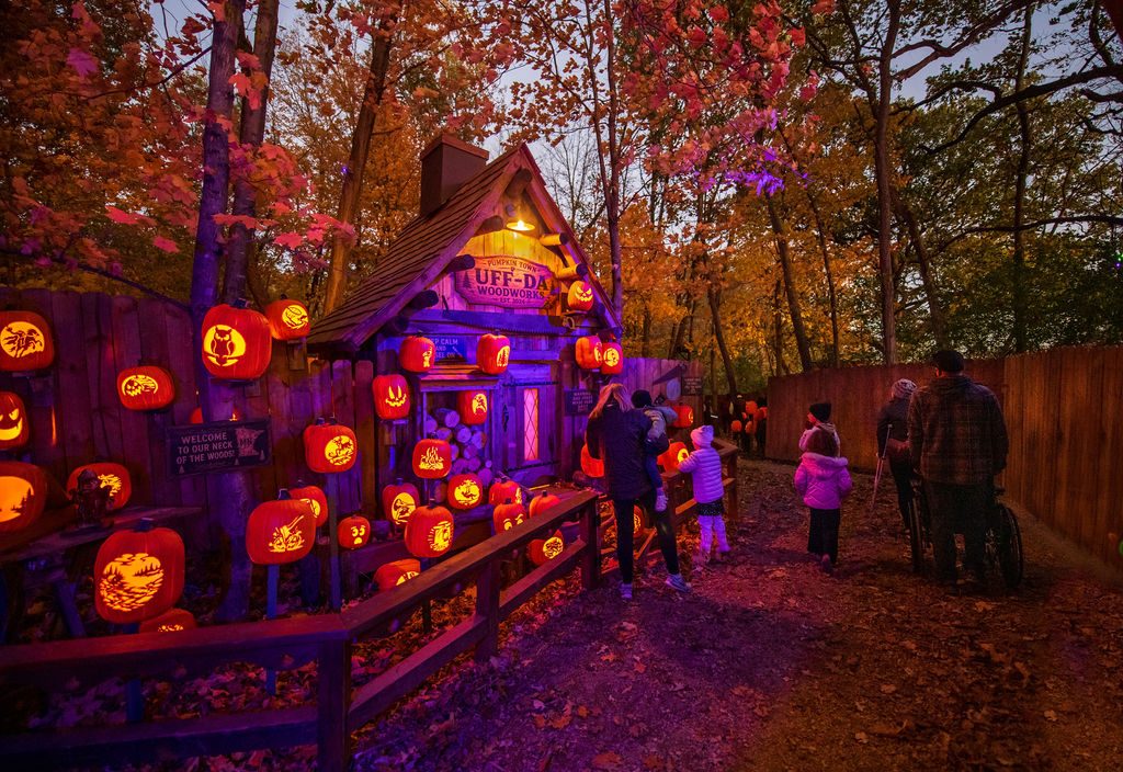 North Star Pumpkin Town