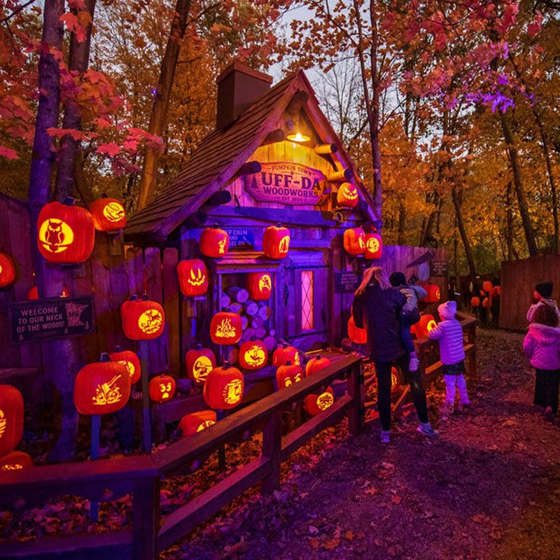 North Star Pumpkin Town