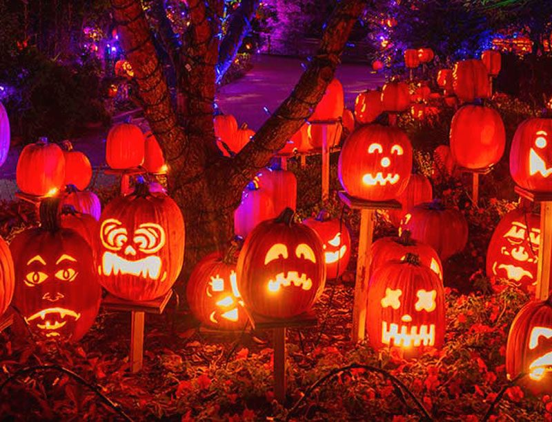 North Star Pumpkin Town